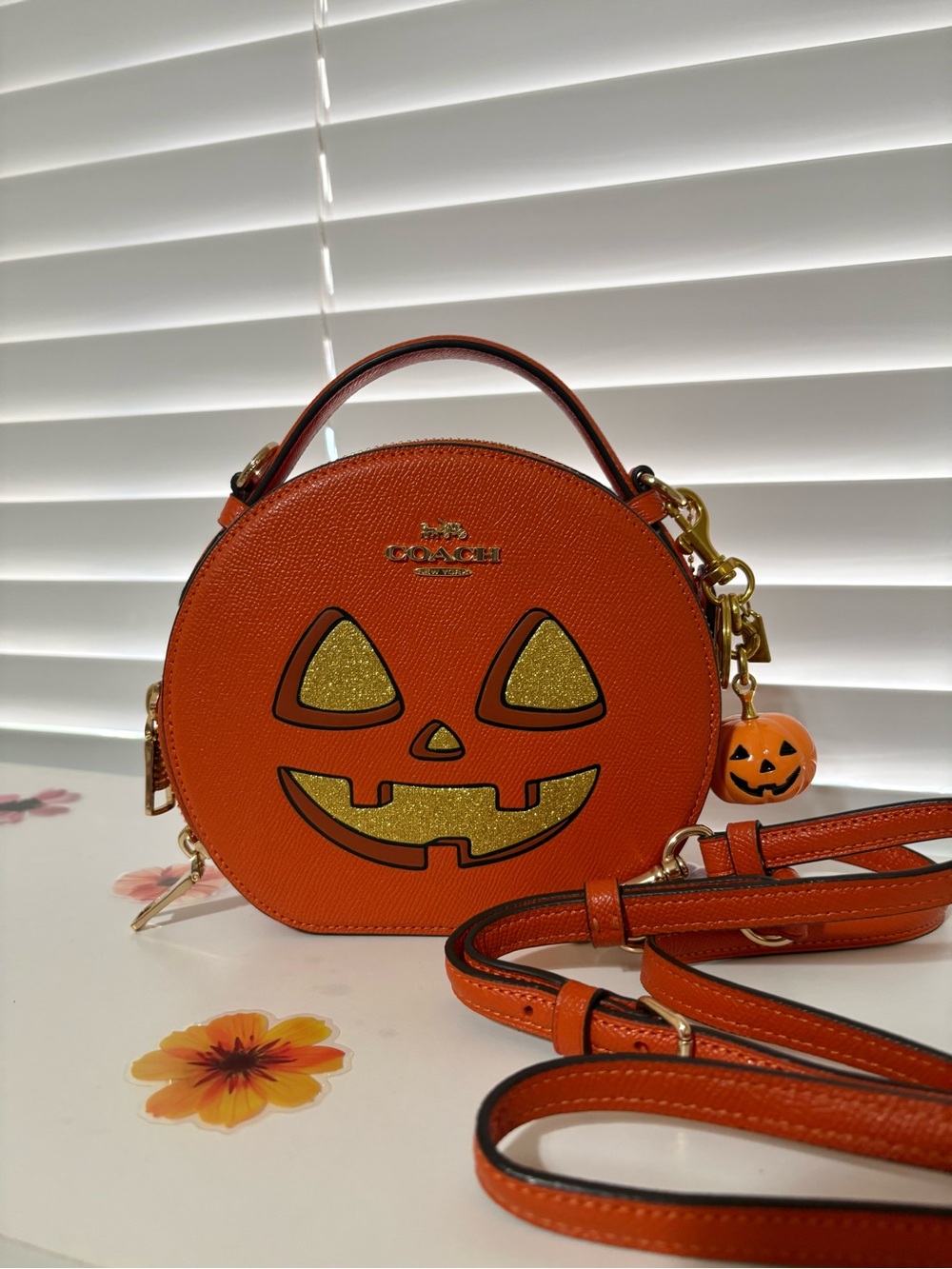 🎃Coach Halloween Pumpkin Canteen Crossbody Bag 🧙🎃